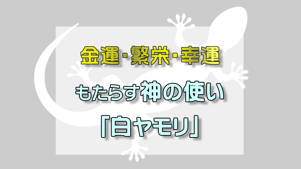 幸運、金運、反映の白ヤモリ