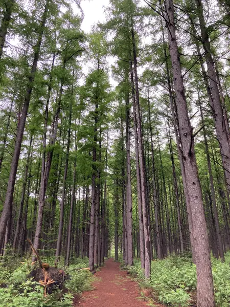 中島の散策コース