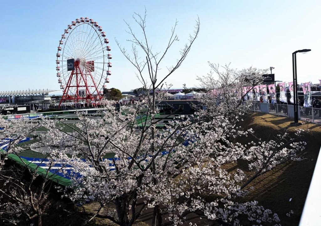 桜満開の鈴鹿サーキット